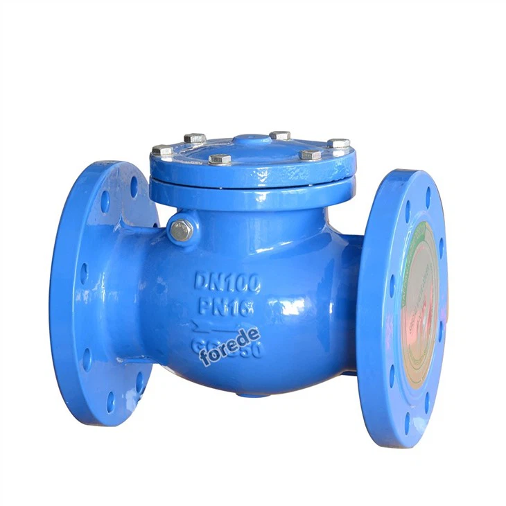 3 Inch Swing Check Valve