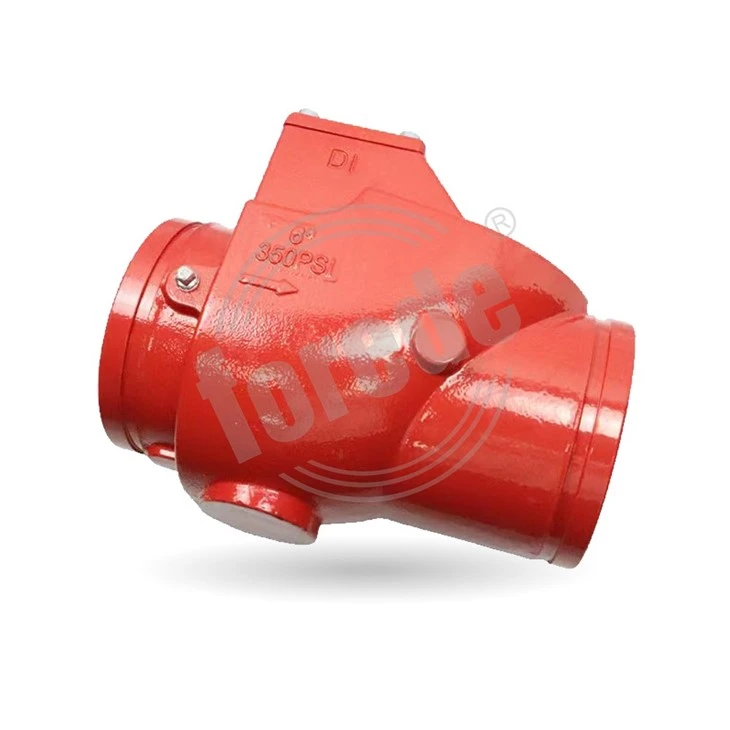 Grooved End Check Valves